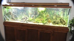 125gal. 125gal.