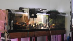 33gal. 33gal.