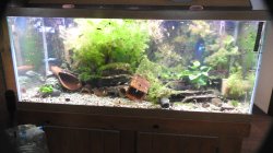 75gal. 75gal.
