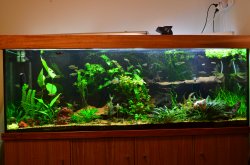 1100 litre 20mm glass