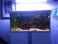 250L , l397 tank. 250L , l397 tank.